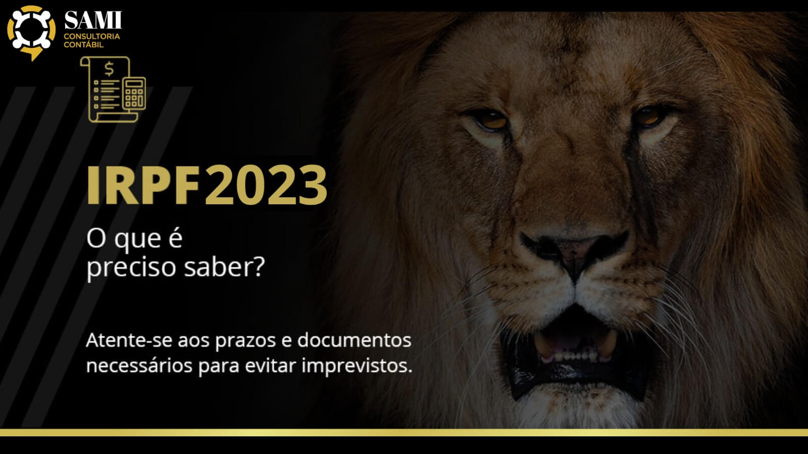 Irpf 2023 O Que é Preciso Saber Samicon 8020